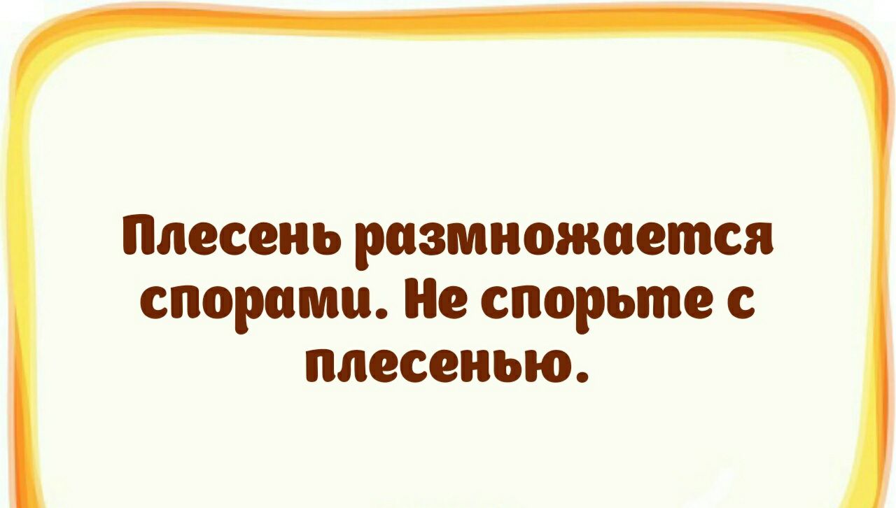 Плесень размножиется спорами Не спорьте плесенью