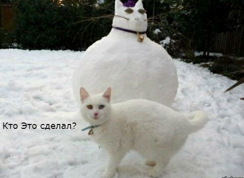 Кто Это сделал