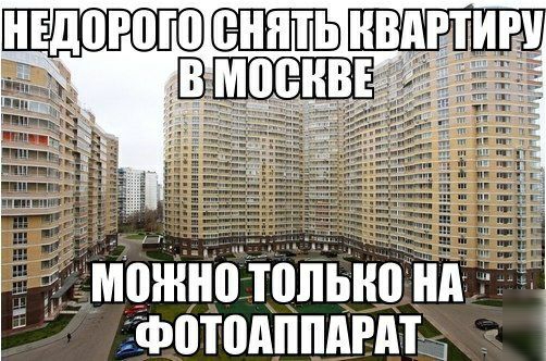 ншпгою 13 мцншо _топыю фотпдппдгдг