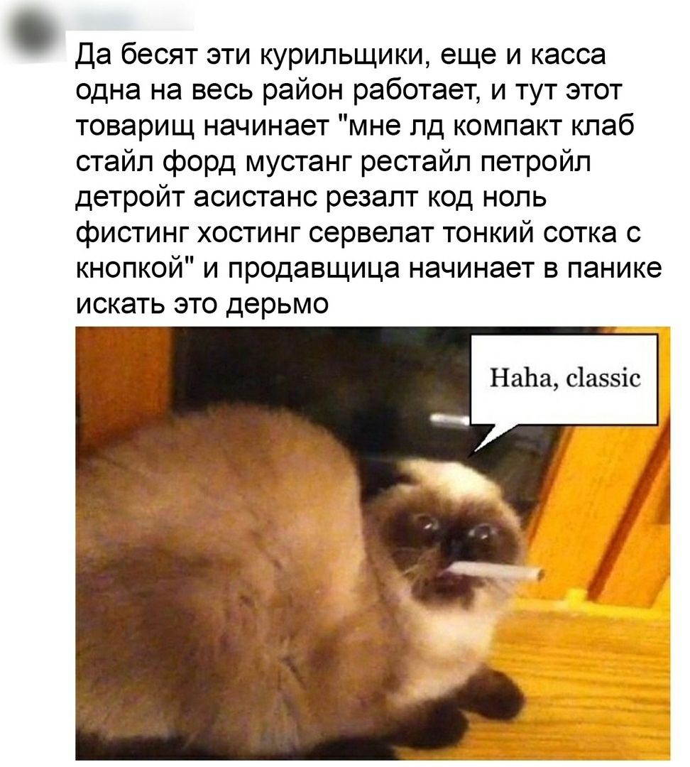 Да бесят эти курильщики еще и касса одна на весь район работает и тут этот товарищ начинает мне лд компакт клаб стайл форд мустанг рестайл петройл детройт асистанс резалт код ноль фистинг хостинг сервелат тонкий сотка с кнопкой и продавщица начинает в панике искать это дерьмо На11а с1а55іс