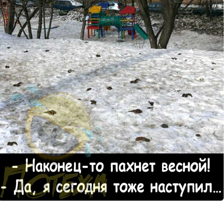 Наконец то пахнет весной Да я сегодня тоже наступил