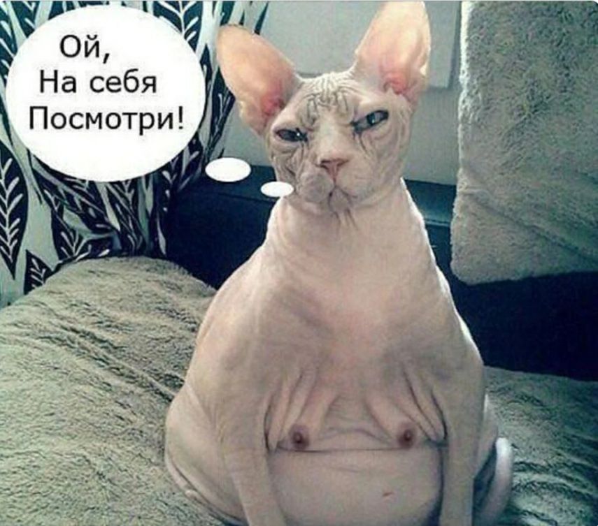 На себя Посмотри
