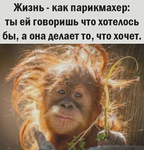 Жизнь как парикмахер ТЫ ей ГОВОРИШЬ ЧТО ХОТеАООЬ бы а она деАает ТО ЧТО ХОЧОТ