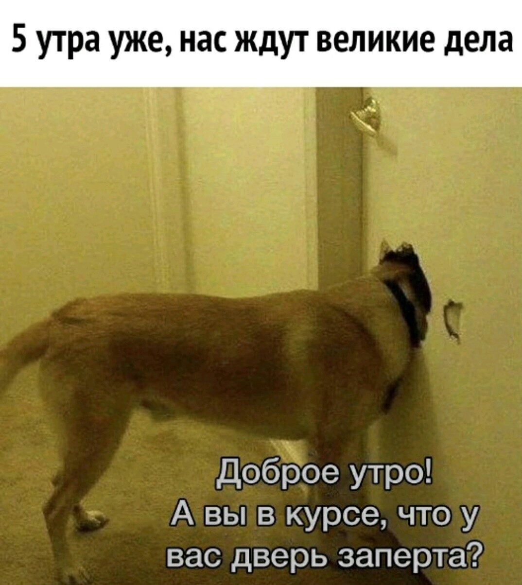 5 утра уже нас ждут великие дела Доброе утро А вы в курсе что у вас дверь заперта