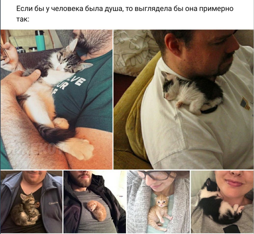 Если бы у человека была душа то выглядела бы она примерно