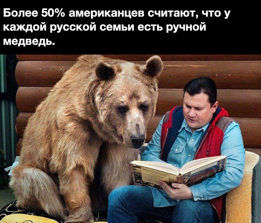Более 50 американцев считают что у каждой русской семьи есть ручной медведь