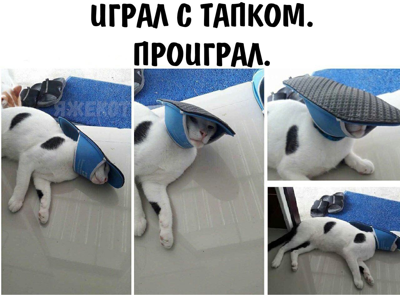 ЦГРАА тАпком ПРОШРАА _ і А С _ а 1 _ 1