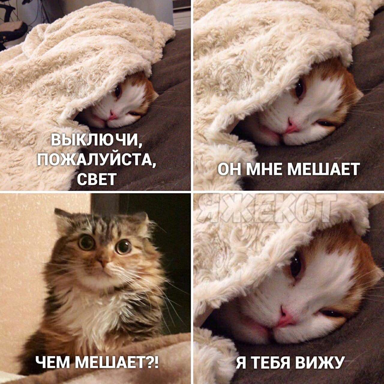 НЕ МЕШАЕТ Я ТЕБЯ ВИЖУ