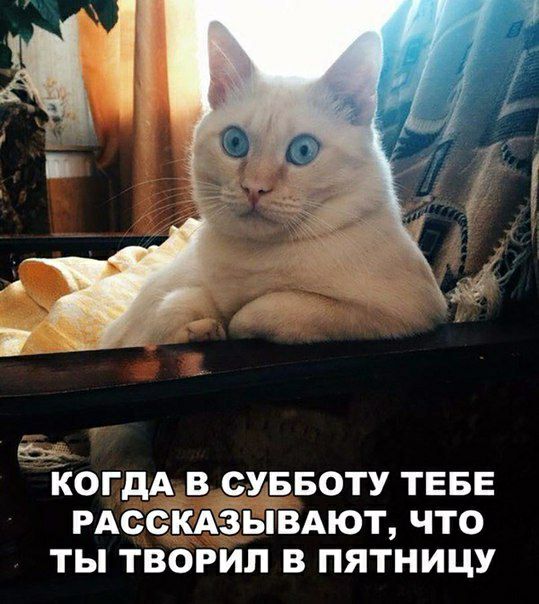 КОГДА В СУББОТУ ТЕБЕ РАСОКАЗЬЁВАЮТ ЧТО ТЫ ТВОРИП В ПЯТНИЦУ