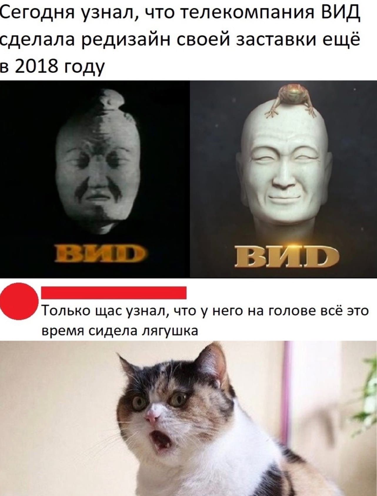 Сегодня узнал что телекомпания ВИД сделала редизайн своей заставки ещё в 2018 году ТОЛЬКО ЩЭС узнал ЧТО у НЭГО Нд ГОЛОВЕ ВСЁ ЭТО время сидела ЛЯГУШКЭ