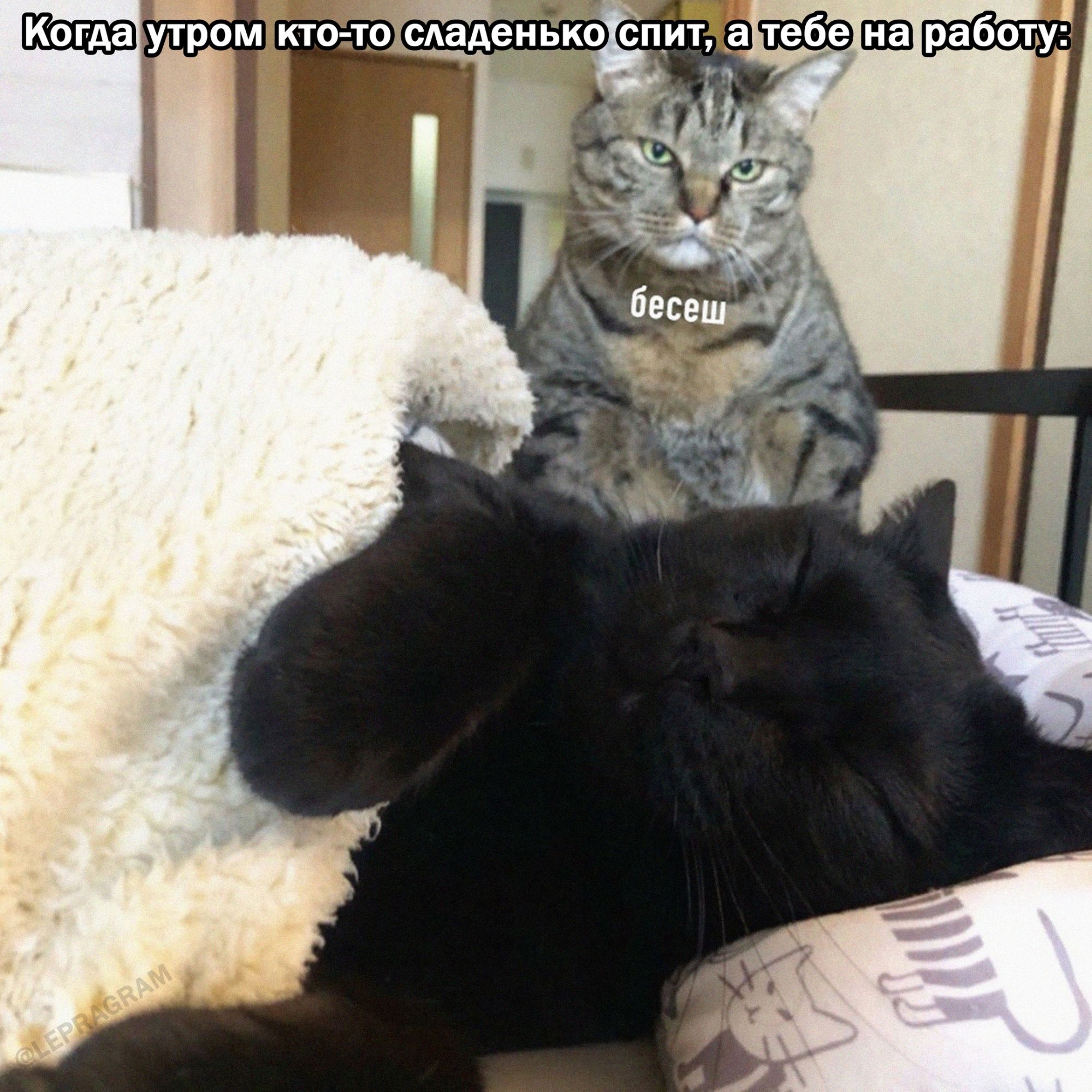 КТОТО