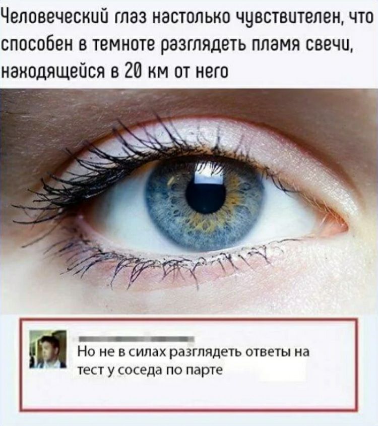 Человеческий глаз настолько чувствителен что способен в темноте разглядеть пламя свечи нанодящейся в 20 км от него Но не в силах разглядеть ответы на тест у соседа ПО парте