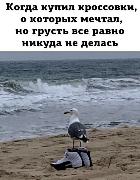 Когда купил кроссовки о которых мечтал ио грусть все равно никуда не делась