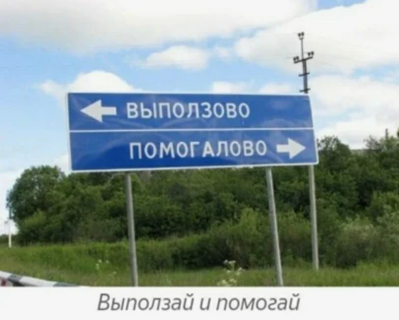 ВЫПОП 3317 ПОМОЭЭП