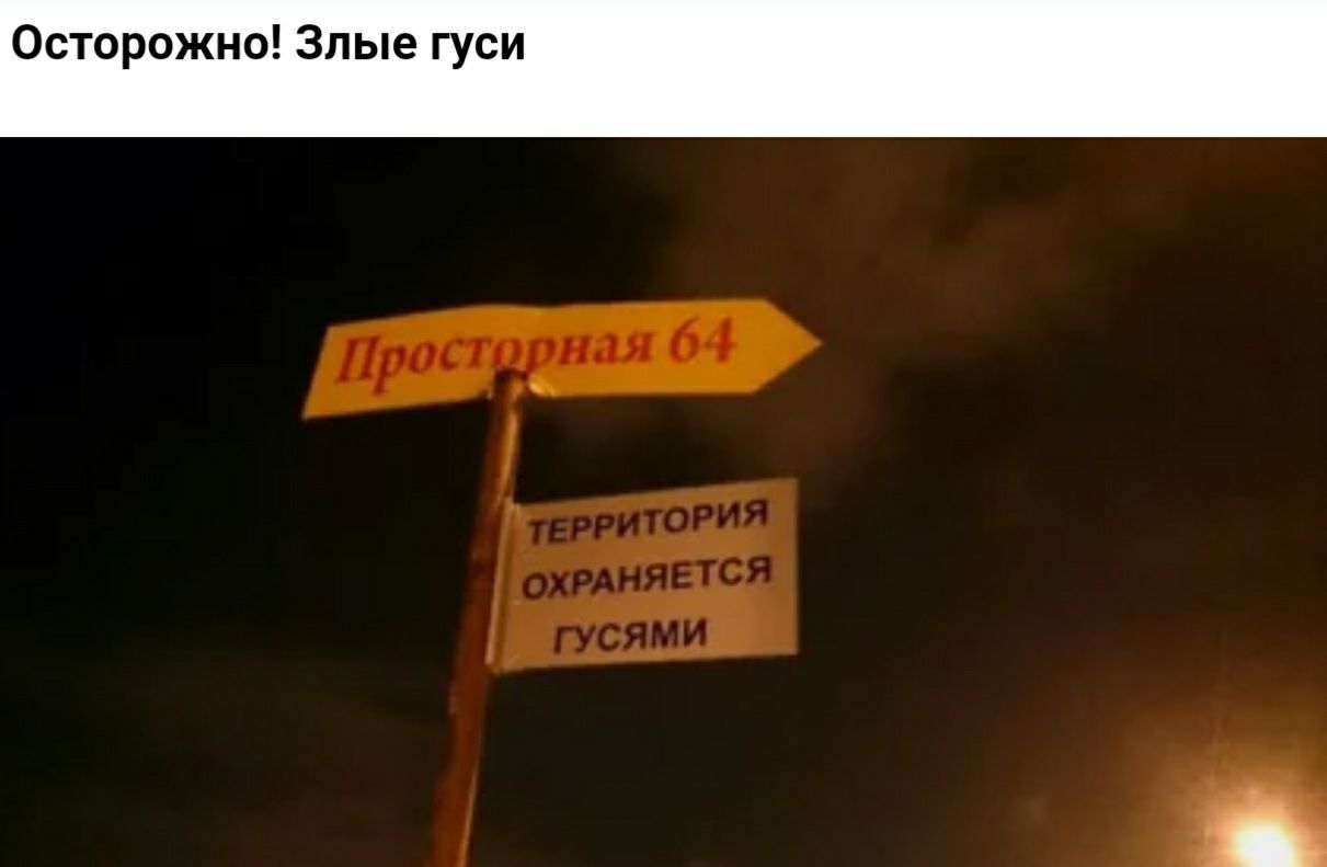Осторожно Злые гуси