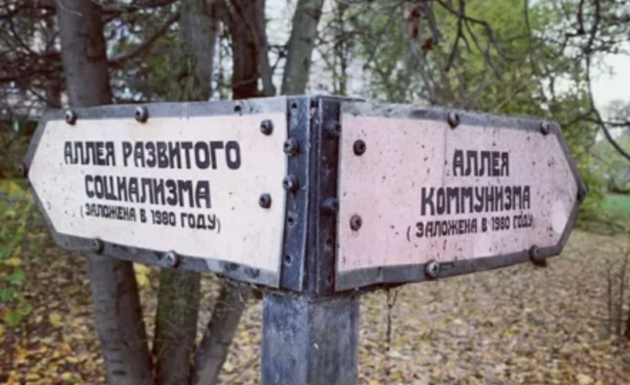 Санализма 98 году