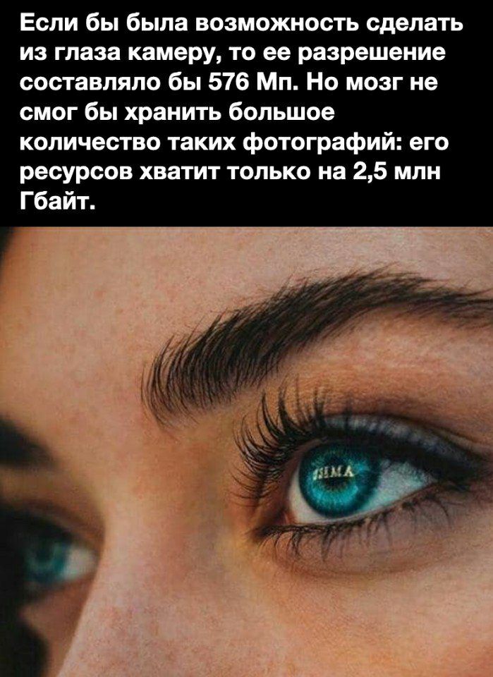 Если бы была возможность сделать из глаза камеру то ее разрешение составляло бы 576 Мп Но мозг не смог бы хранить большое количество таких фотографий его ресурсов хватит только на 25 млн Гбайт