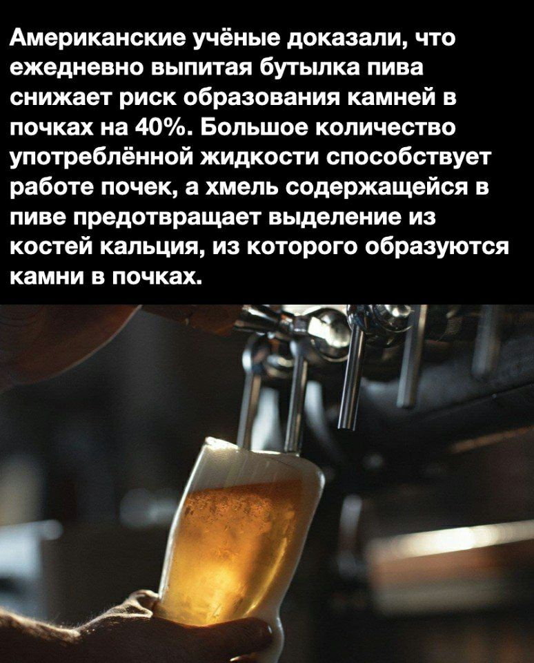 Американские учёные доказали что ежедневно ВЫПИТЗЯ бутылка пива снижает риск образования камней в почках на 40 Большое количество употреблённой жидкости способствует работе почек а хмель содержащейся в пиве предотвращает выделение из костей кальция из которого образуются камни в почках