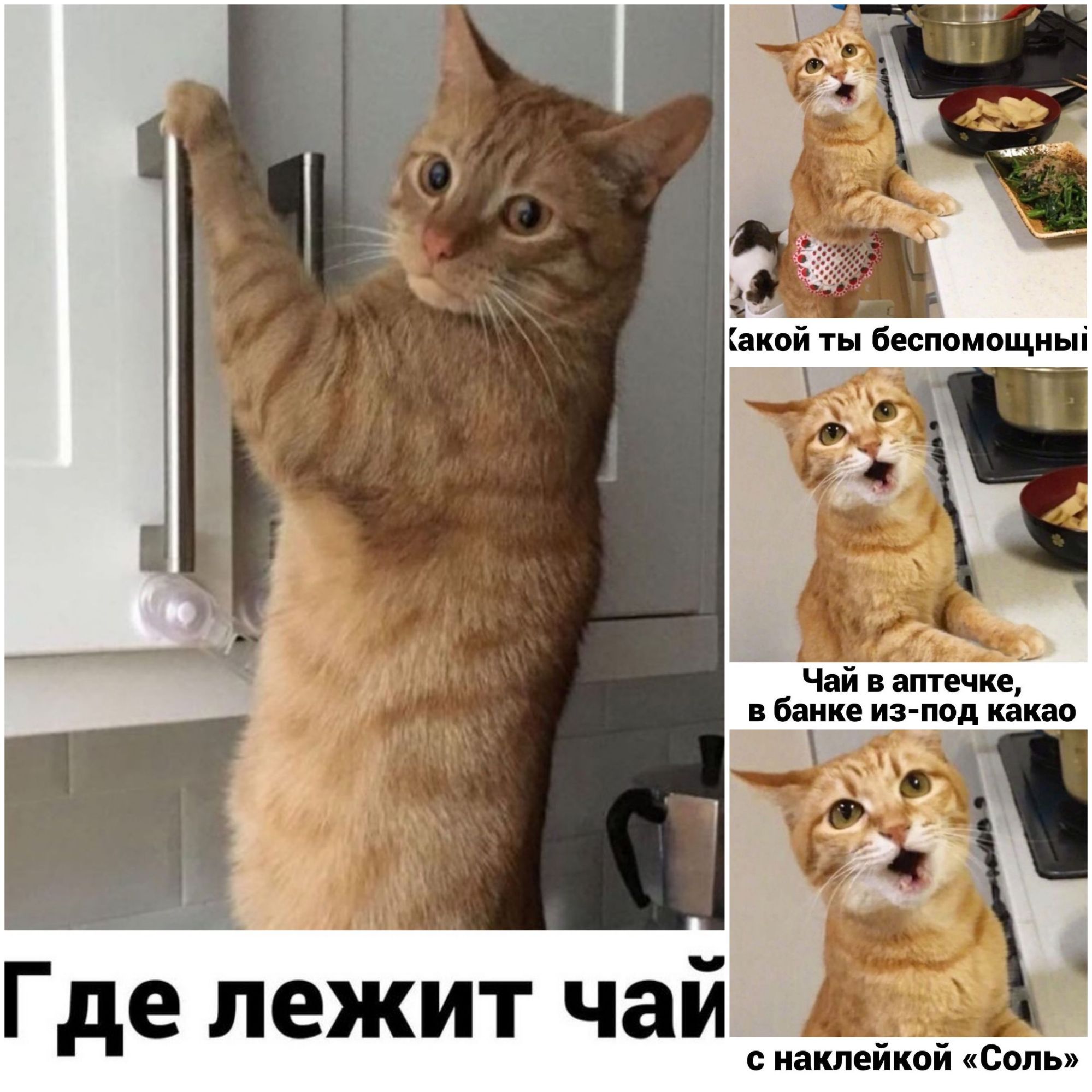 Чай в аптечке в банке 3_д какао Где лежит чай с наклейкой Соль