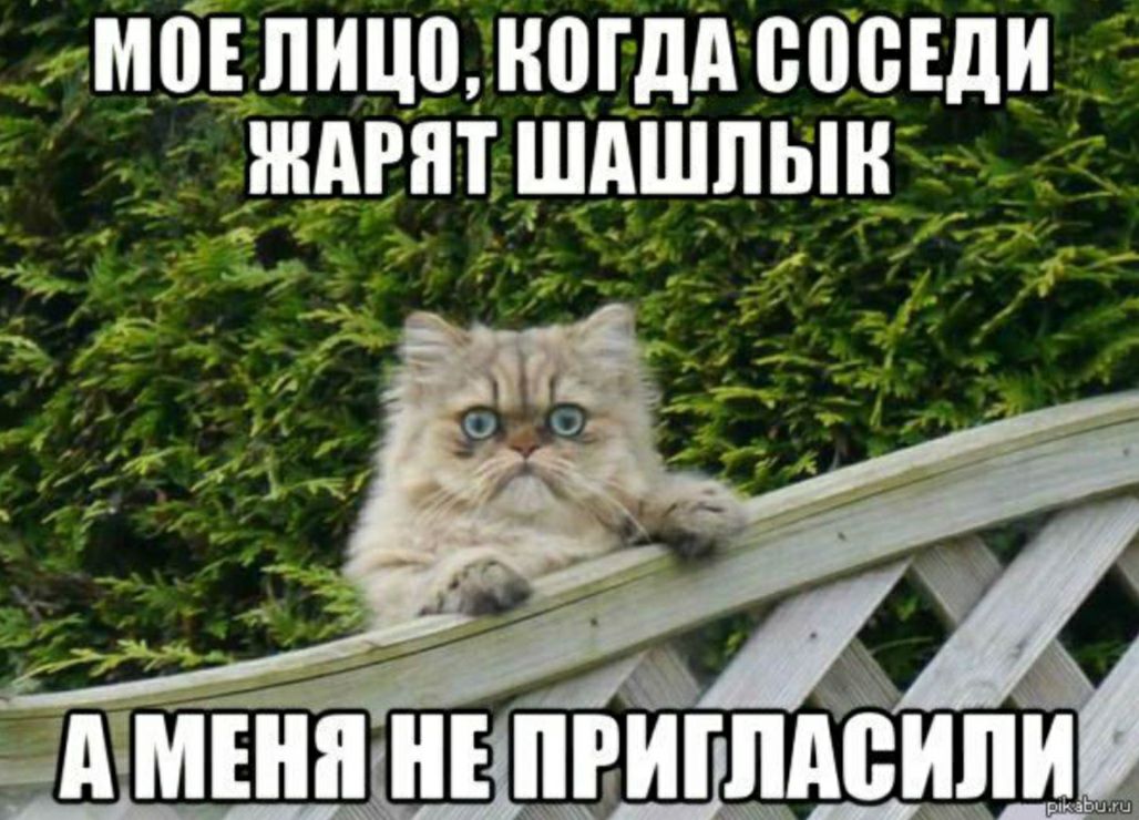 машинаногдд соседи ждгят шдшпын 11 дтнжжшёщп