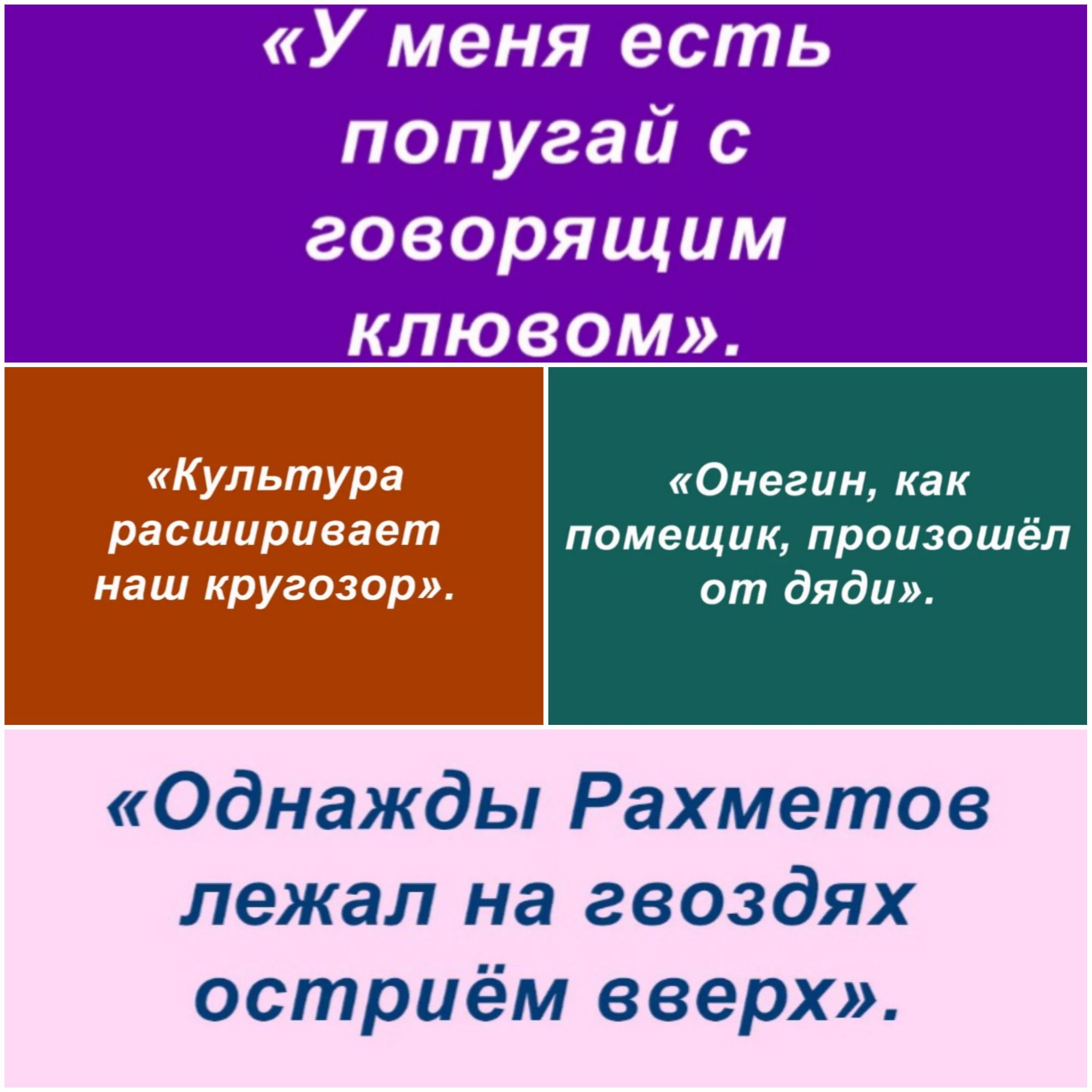 Культура Онегин как расширивает помещик произошёл наш кругозор от дяди Однажды Рахметов лежал на гвоздях остриём вверх