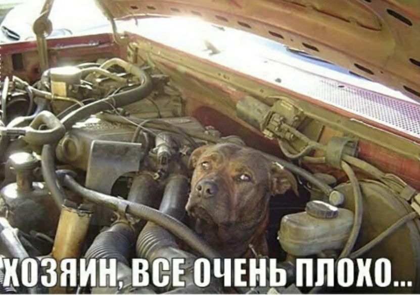 Е очень плохо