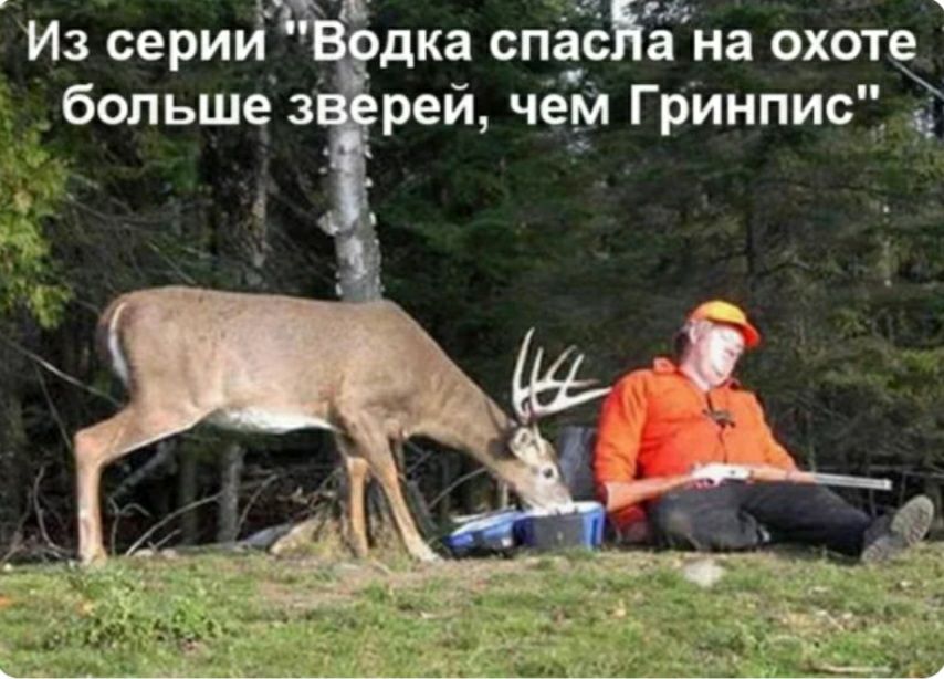 Из серии спас а на охоте больше 3 1