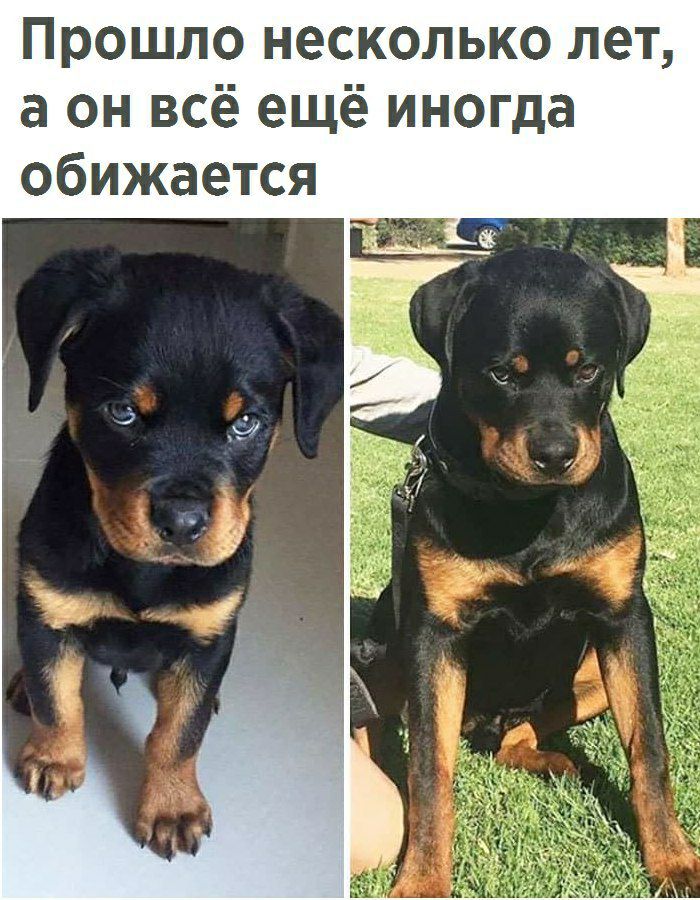Прошло несколько лет а он всё ещё иногда обижается