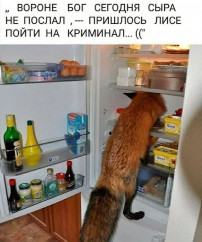 ВОРОНЕ БОГ СЕГОДНЯ СЫРА НЕ ПОСЛАЛ _ пришлось ПИСЕ пойти НА КРИМИНАЛ