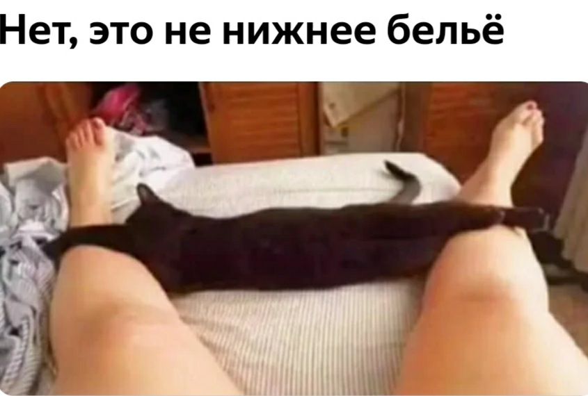 Нет это не нижнее бельё