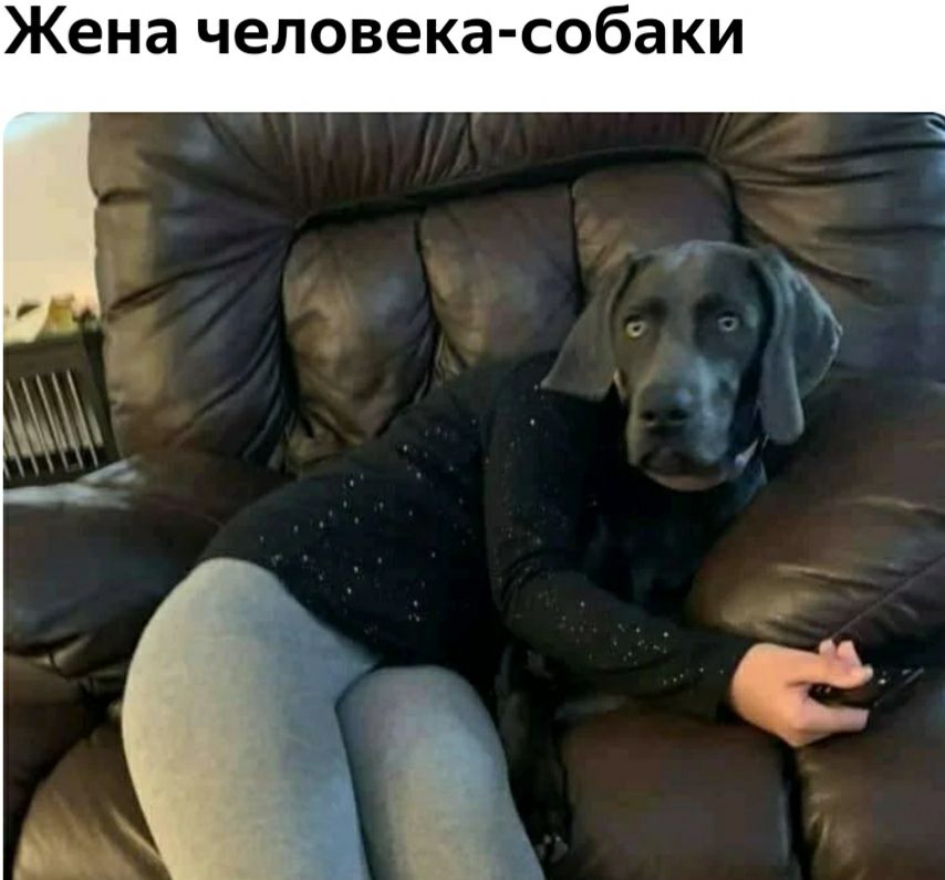Жена человека собаки
