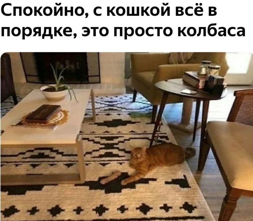 Спокойно с кошкой всё в порядке это просто колбаса