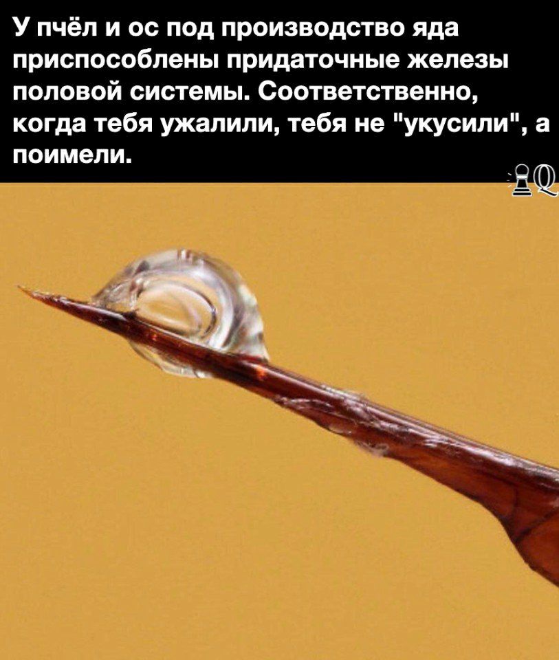 У пчёл и ос под производство яда приспособлены придаточные железы половой системы Соответственно когда тебя ужалили тебя не укусили а ПОИМЭЛИ