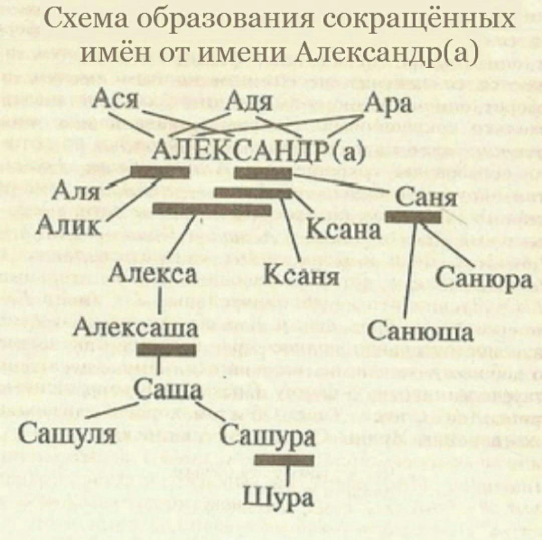 Схема образования сокращённых имён от имени Александра АСЯ Адя Аа р АЛЕКСАНЦРа Аля 7 Саня Алик 7 Ксана Алегса Ксаня Санюра Алексаша Санюша _ Саша Сашуля Сашура