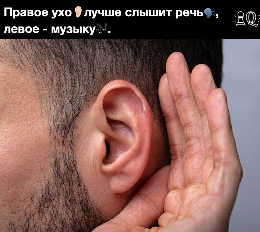 Правое ухо лучше слышит речь левое музыку