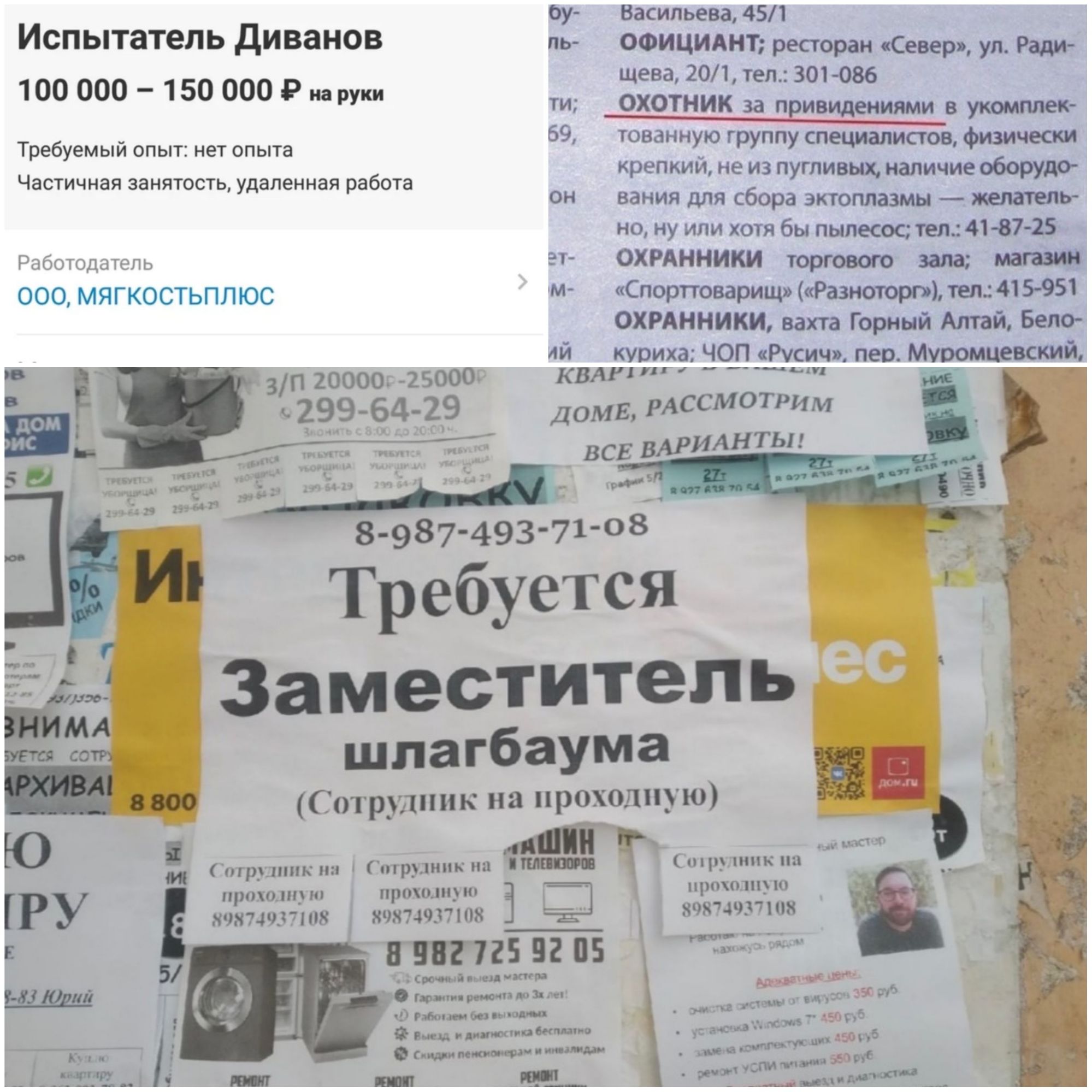 Оу Васильева 451 Испытатель диванов ль ооициднт ресторан Север ул Ради щева 201 тел 301 086 100 000 150 000 Р ар 3 уюж 69 тованную группу специалистов физически крепкий не из пугливых наличие оборудо он вания для сбора эктоплазмы желатель но ну или хотя бы пылесос тел 41 8725 Рыбкиыди тель ЭТ ОХРАННИК торгового зада ооо мягкостьплюс СРВЗРИЩ Рашид 34595 ОХРАННИКУЬ вахта Горный Алтай Бело лй куриха 