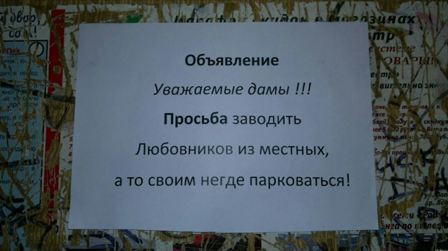 Объявление Уважаемые дамы Просьба заводить Любовников из местных а то своим негде парковаться