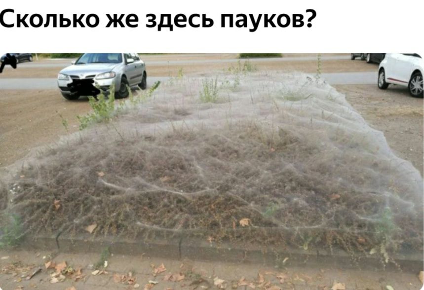 КОПЬКО же здесь ПЗУКОВ