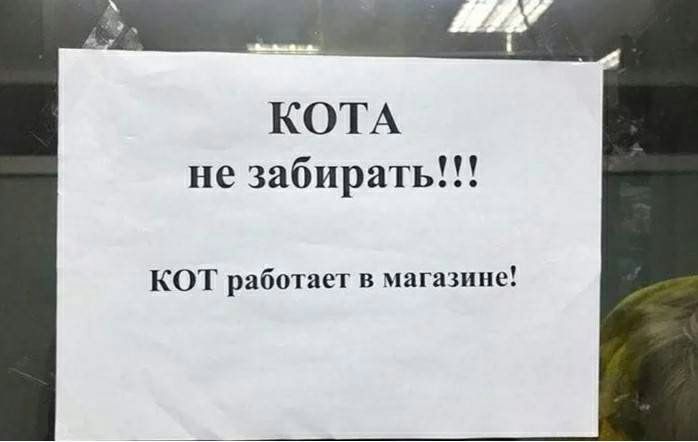 КОТА не забирать КОТ работает в магазине
