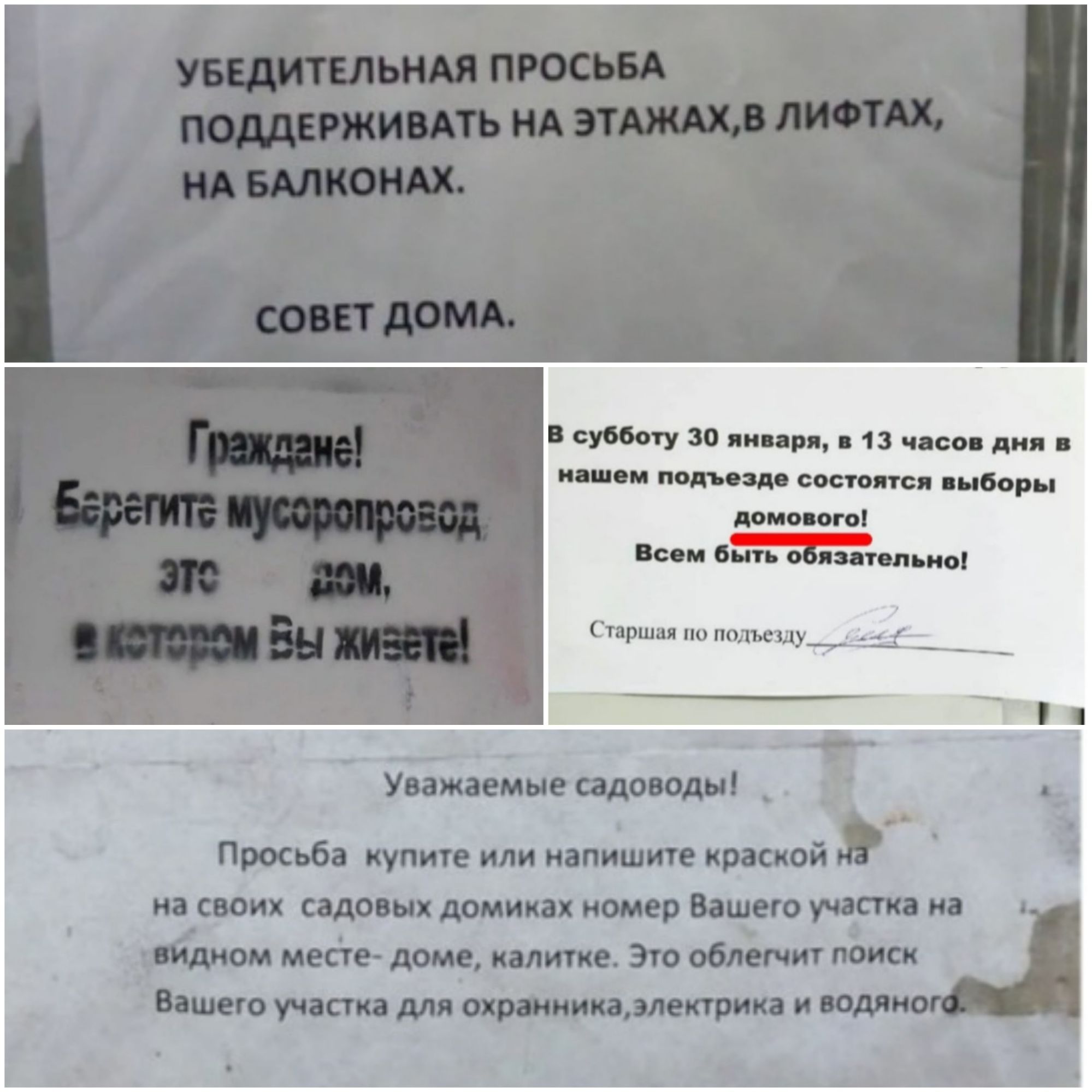 В субботу 30 января в 13 часов дня в нашем подъезде состоятся выборы домового Всем быть обязательно Старшая по подъезду б Уважеемыеадоюж и Просьба купите или напишите краской наших щошхдошш номер Вашегоучіт Тімеётьдомщ тт Эюобпичитпоиш ащмшшщпжтии
