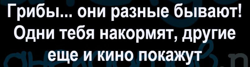 Грибы они разные бывают Одни тебя накормят другие еще и кино покажут