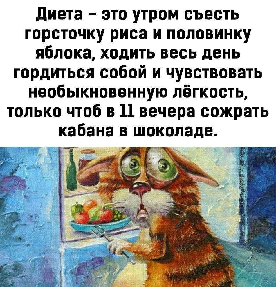 диета это утром съесть горсточку риса и половинку яблока ходить весь день гордиться собой и чувствовать необыкновенную лёгкость только чтоб в 11 вечера сожрать кабана в шоколаде Г _ 4 и _