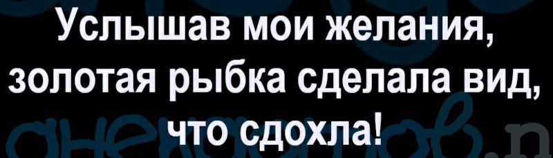 Услышав мои желания золотая рыбка сделала вид что сдохла