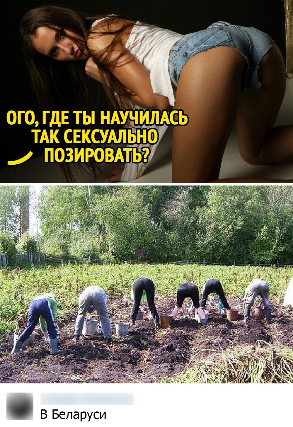 О      16 со