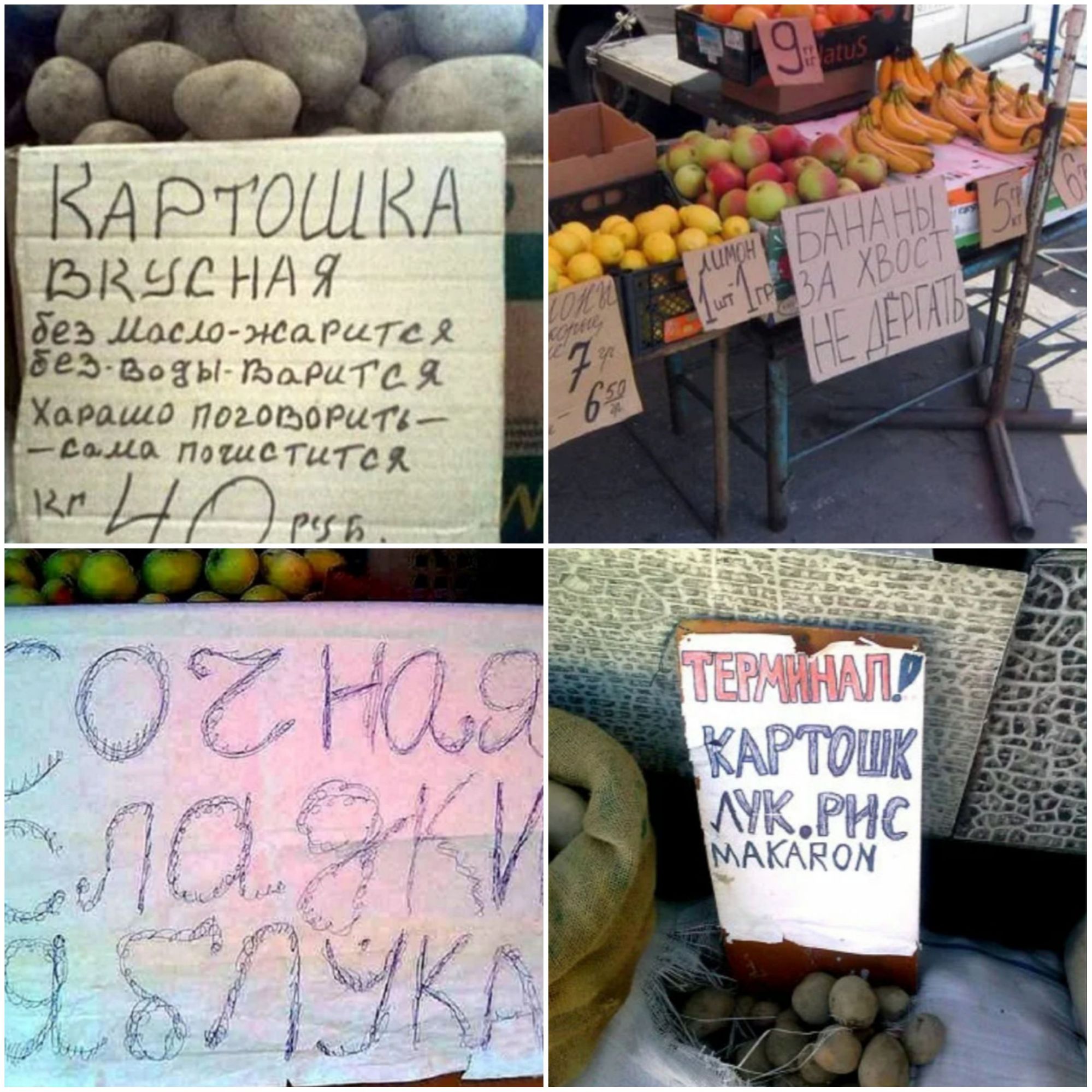 КРТОШКА дыша НА Я без илемЖаРцтсх ЪЪОЗЫ таится 127 Харашо ПОіОГЪОРцТ4 ИД тя 11 ё ггг ЁЁъ Ьщ Ё 3 г а