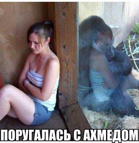 Поругалась  ммедп