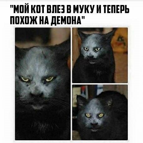 МПЙ КШ ЕЛЕЗ В МУКУ И ТЕПЕРЬ ПШШЖ НА дЕМПНА