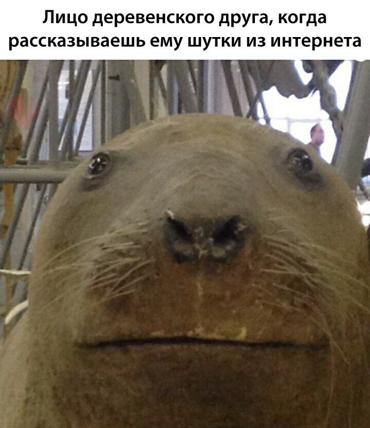 ЛИЦО деревенского друга когда рассказываешь ему ШУТКИ ИЗ интернета