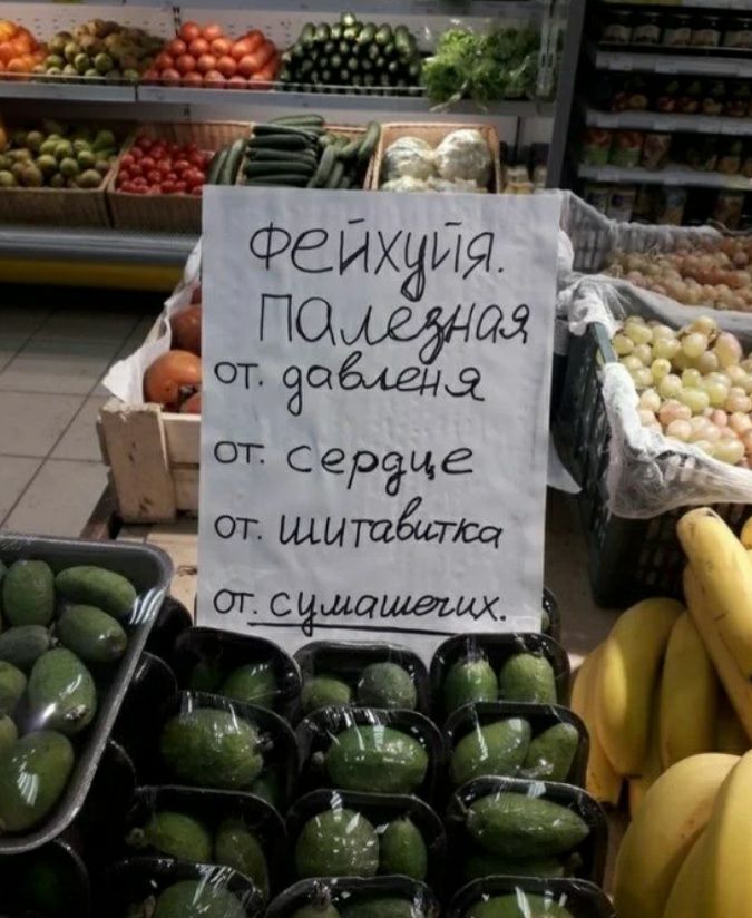 Фёиж и'? Под2яная  т даблеба, от с ерэце от: штевства  от. Симашетих.