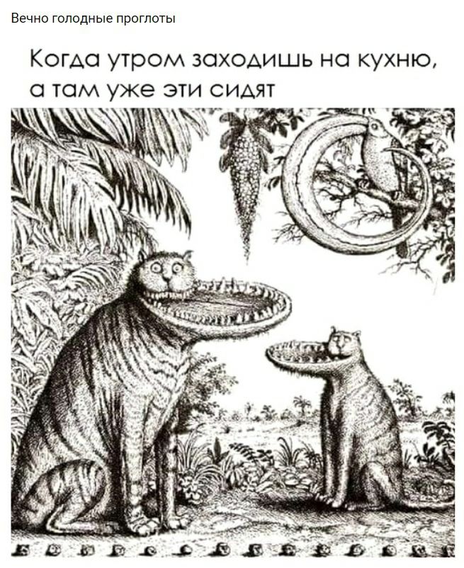 Вечно голодные проглоты КОГАО УТРОМ ЗОХОАИЩЬ НО КУХНЮ О ТОМ уже ЭТИ СИАЯТ _ _ і _ _ А _